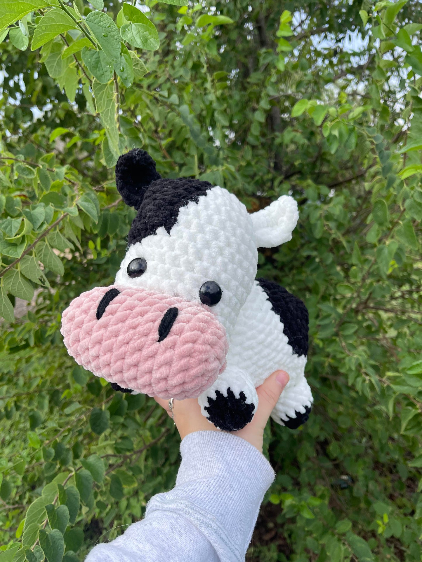 Moo Cow